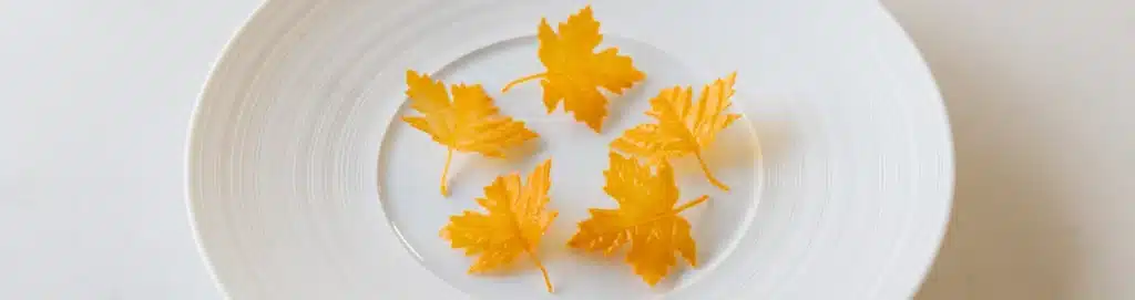 Crispy Carrot Leaves - Moldbrothers