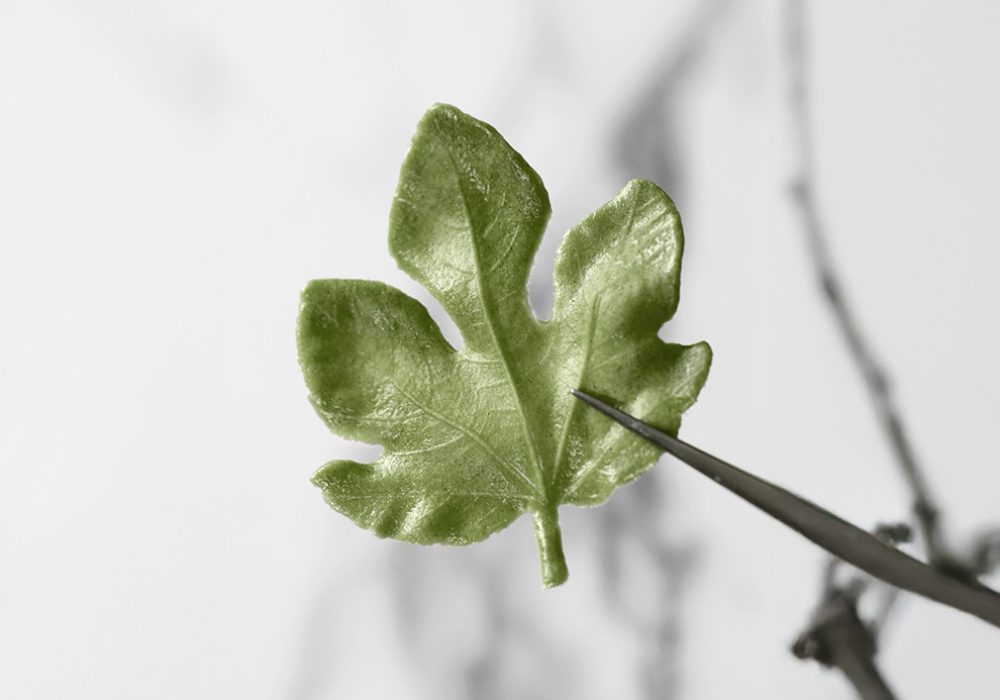 Figleaftuille